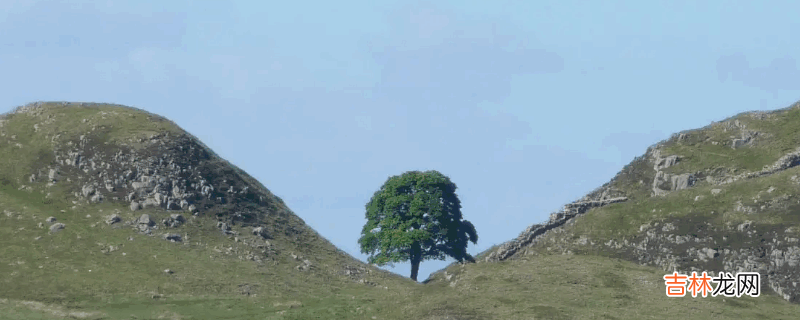 土堆成的山叫什么?