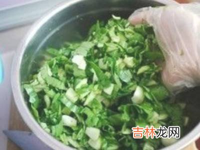 腌上海青菜的腌制方法?