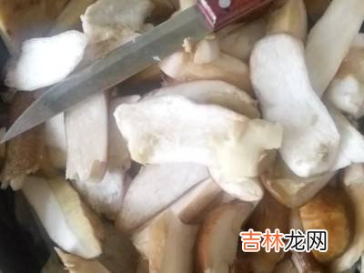 干牛肝菌怎么泡发和清洗?