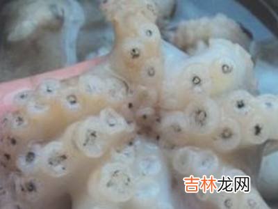 八爪鱼怎么蘸料吃?