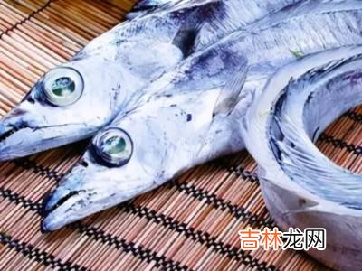 白眼带鱼和黄眼带鱼有什么区别?