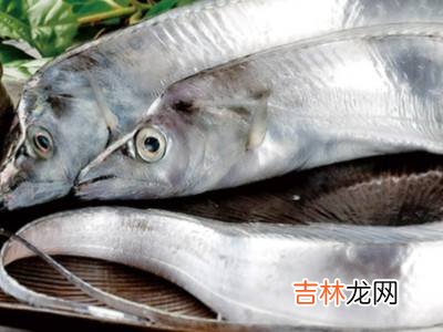 白眼带鱼和黄眼带鱼有什么区别?