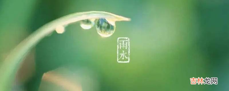 雨水节气吃什么?