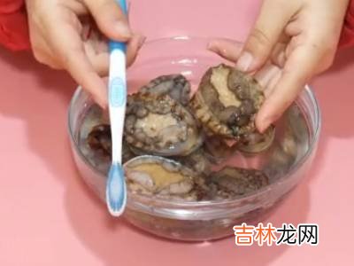 鲍鱼怎么清洗制作?