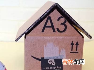 废旧纸盒变废为宝可以做什么?
