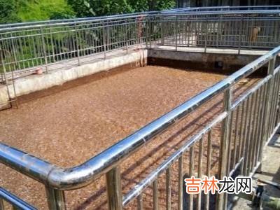 垃圾站怎么处理垃圾的?