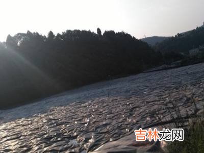 垃圾站怎么处理垃圾的?