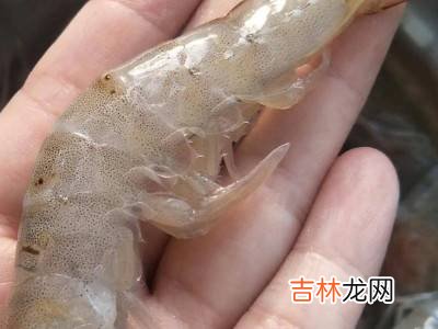 鳌虾怎么去虾线?