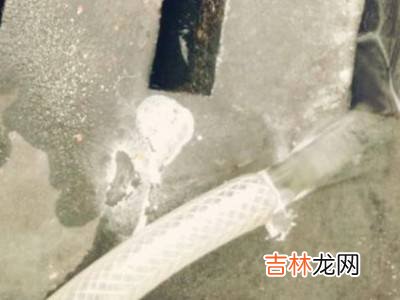 一根水管怎么抽水?