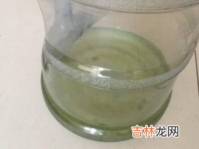 水桶内壁上的青苔清理方法?