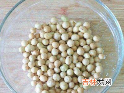 如何发黄豆芽又快又好?