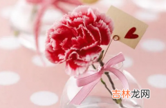 三八妇女节是不是法定 2023三八妇女节算法定节假日吗