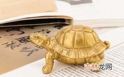 铜龟摆放位置风水图 铜乌龟摆放的位置有说法没
