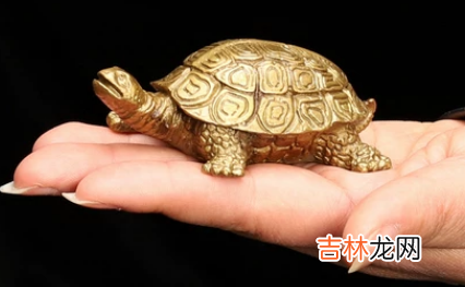铜龟摆放位置风水图 铜乌龟摆放的位置有说法没