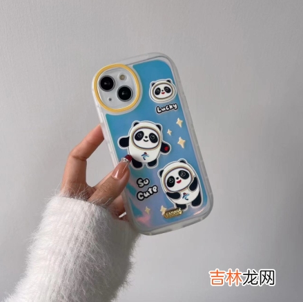 冰墩墩玩具摆件 冰墩墩可以做手机壳吗