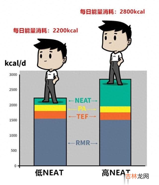 减脂 是什么阻碍了你变瘦？除了美食和惰性，还有我们的身体