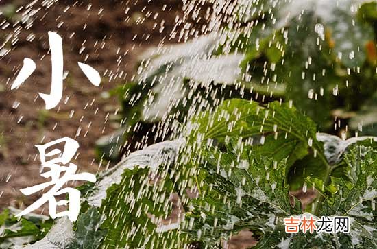 小暑节气朋友圈文案 小暑节气朋友圈说说