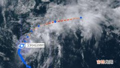 2022年4号台风艾利实时卫星云图 台风路径实时发布系统卫星云图追踪