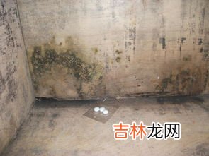 房子发霉住人有危害吗,房间里墙上发霉 对人 有什么危害? 竟然有人说没多大危害- -真的假的…