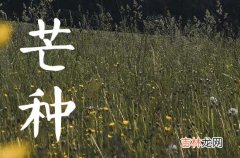 今年芒种时节是几月几日几点