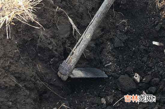 2023年11月几日下葬吉日