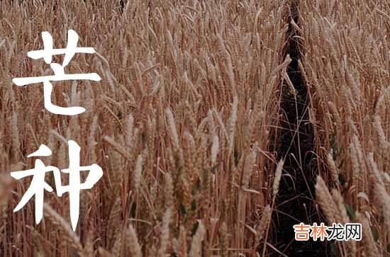 100句 芒种发朋友圈的文案句子