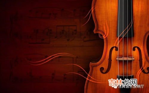 小提琴怎么选,如何选小提琴