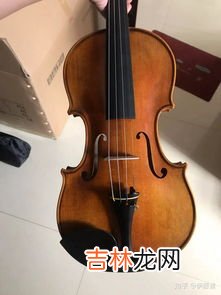 小提琴怎么选,如何选小提琴