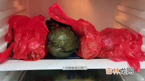 塑料袋放冰箱的危害,装菜的塑料袋放冰箱等于慢性自杀？