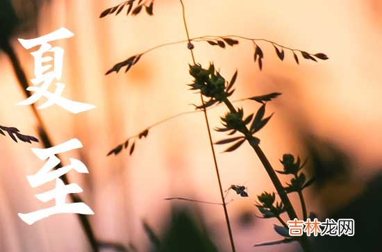 夏至的寓意和象征 夏至是入伏的开始吗