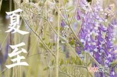 夏至节气吃什么食物 夏至节气的养生要点