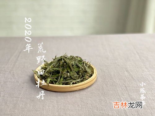 高山茶台地茶野生茶的区别,普洱茶小常识：什么是台地茶和古树茶，区别在哪