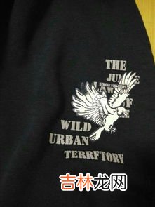 怎么去除衣服上的油漆,衣服上沾了油漆怎样能清洗掉?