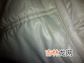 怎么去除衣服上的油漆,衣服上沾了油漆怎样能清洗掉?