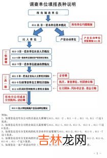 经济普查的主要内容包括,统计登记证是什么?经济普查都查什么?