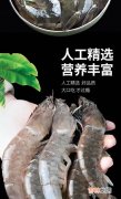 活虾冷冻后为什么变黑,在海边买的活虾，拿回家放到冰箱冷冻之后，拿出来吃，发现虾的颜色