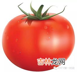 西红柿可以冰冻吗,西红柿能冷冻吗