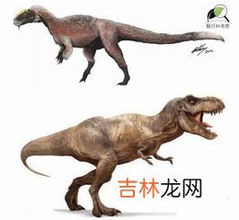 霸王龙的外形,霸王龙长什么样?