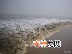 钱塘江观潮最佳地点在哪里,钱塘江观潮地点在哪里