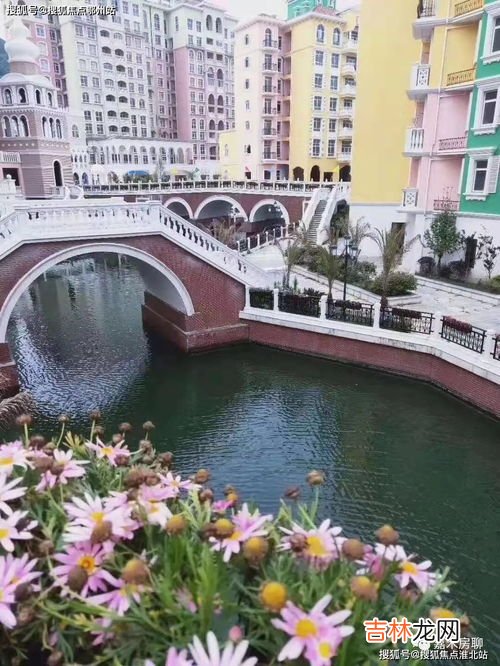 九龙山在哪里,鹤壁九龙山在哪里