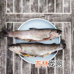 刺豚有毒吗?可以吃吗,刺豚有毒吗