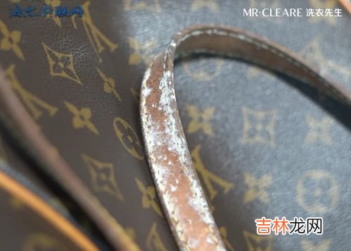皮包包发霉了怎么办,皮包受潮发霉怎么办 皮包受潮发霉如何处理