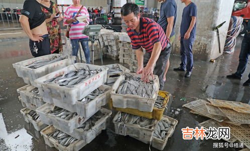 带鱼为什么便宜,为什么超市里的成段冻带鱼比整根带鱼便宜很多?