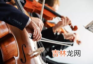 小提琴怎么拿,小提琴怎么拿
