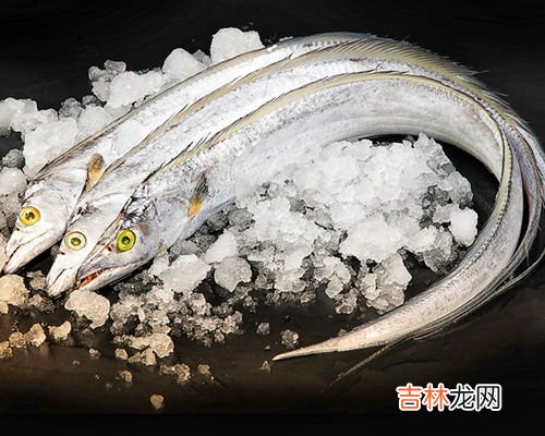 带鱼为什么不能养殖,带鱼到底能不能养殖?你喜欢吃带鱼吗?
