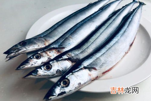 带鱼为什么不能养殖,带鱼到底能不能养殖?你喜欢吃带鱼吗?