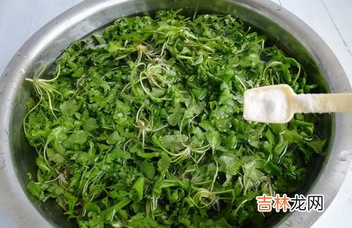 焯水后的菜冷冻后可以放多久,用水焯过的叶绿蔬菜可以放冰箱里可以放多久