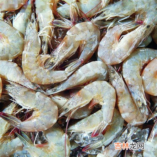 基围虾的热量,白灼基围虾的热量是多少？