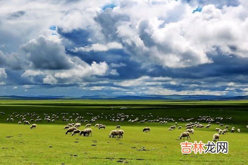 毛亚大草原在哪里,毛娅草原在什么地方