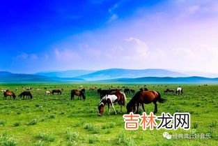 毛亚大草原在哪里,毛娅草原在什么地方